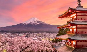 Japan Welcomes a Record 36.8 Million Tourists in 2024