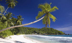 Seychelles Collaborates with Maldives, Turkey, France, Georgia, Thailand, Malaysia, and the UK to Boost Tourism to UAE, Saudi Arabia, Bahrain, Qatar, and Oman: Essential Insights