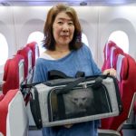 Hong Kong Airlines to Expand Pet-in-Cabin Service, Fully Booked Through November