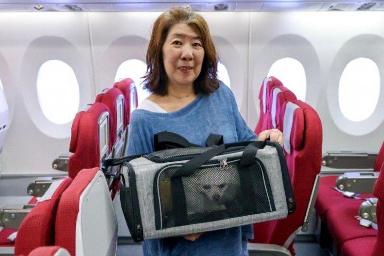 Hong Kong Airlines to Expand Pet-in-Cabin Service, Fully Booked Through November